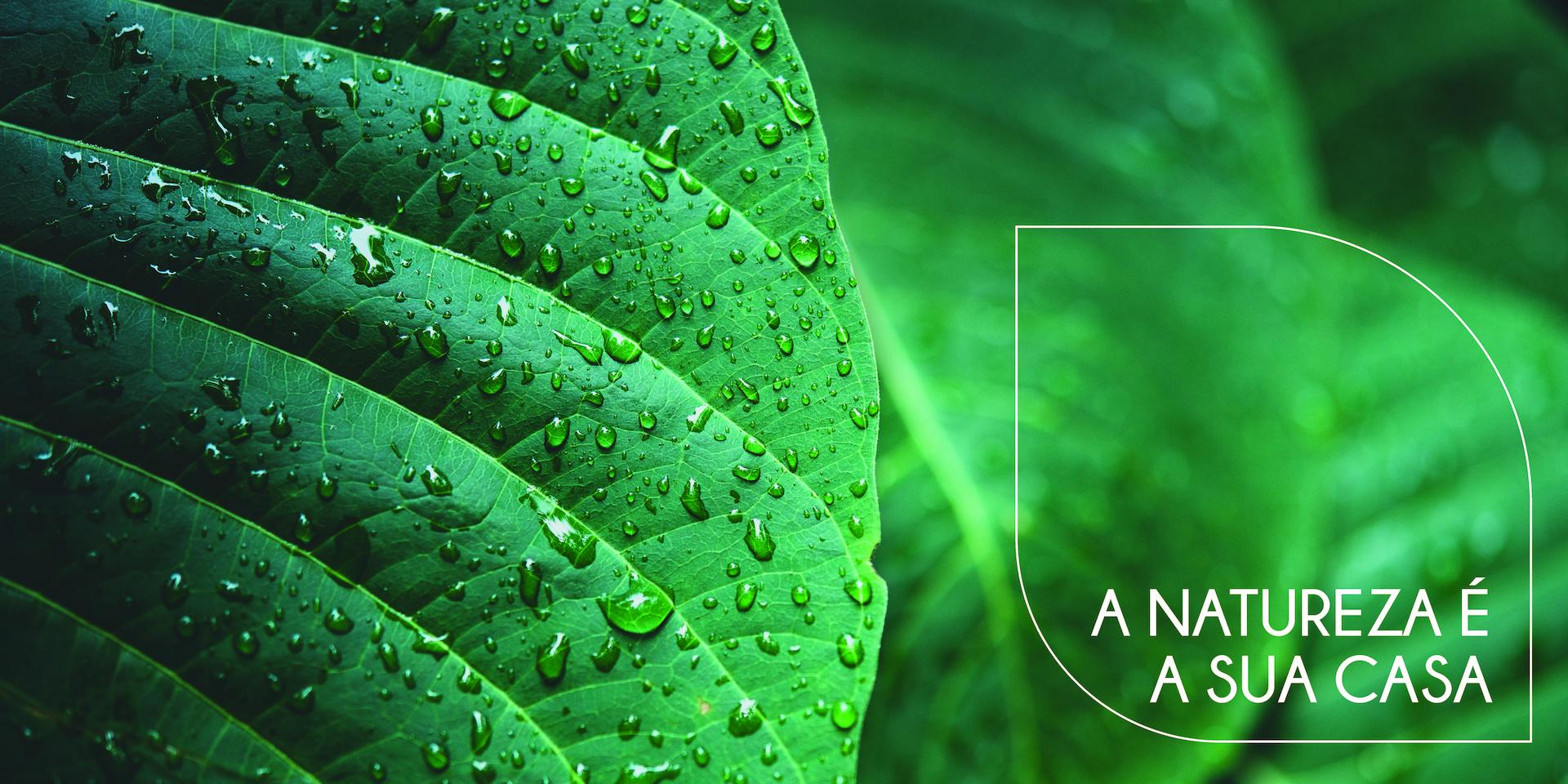 Book Real Bothanic Corretor 01